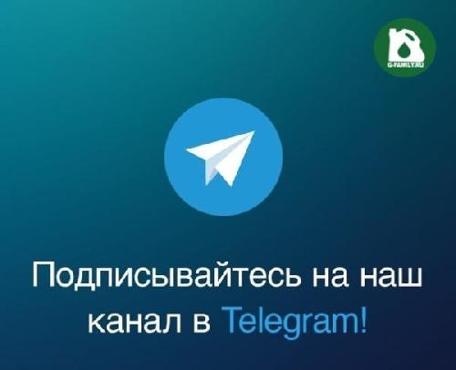 Теперь и в TELEGRAM! 